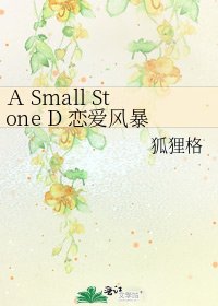 A Small Stone D 戀愛風暴