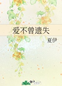 《爱不曾遗失》