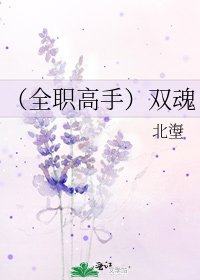 (全職高手)雙魂