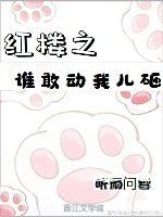 (紅樓同人)紅樓之誰敢動我兒砸