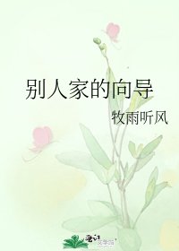 别人家的向导