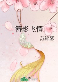 簪影飛情