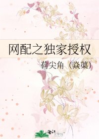 网配之独家授权