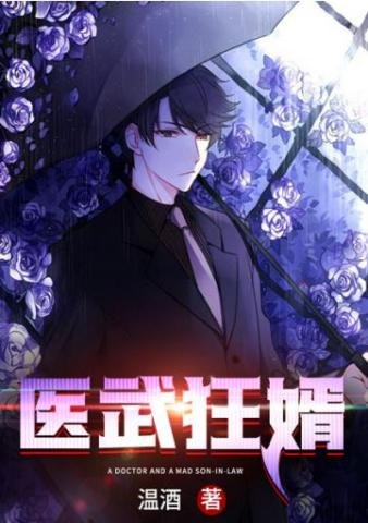 醫武狂婿