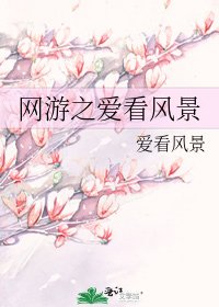 網遊之愛看風景