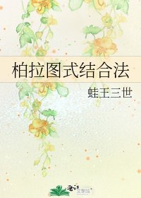 柏拉圖式結合法