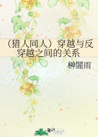 (獵人同人)穿越與反穿越之間的關係