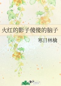 《火红的影子傻傻的脑子》