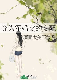 穿為軍婚文的女配