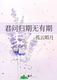 君問歸期無有期