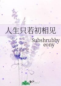 人生只若初相見