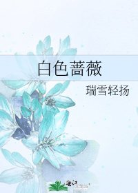 白色薔薇