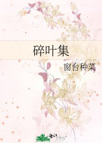碎叶集