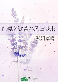 紅樓之敏若春風歸夢來