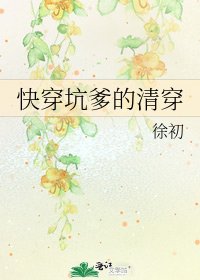 快穿坑爹的清穿