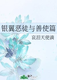 银翼恶徒与善使篇