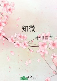 知微
