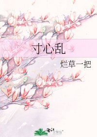 《寸心乱》