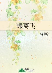 《蝶离飞》