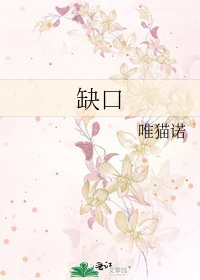 《缺口》