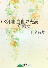 08射雕 当世界充满穿越女
