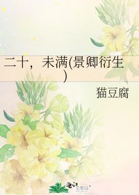 二十,未满(景卿衍生)