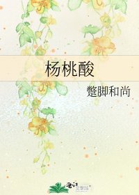 《杨桃酸》