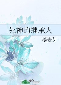《死神的继承人》