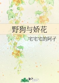 野狗與嬌花