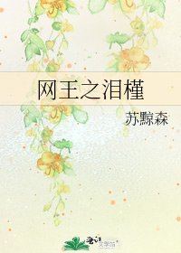 网王之泪槿
