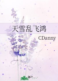 天雪亂飛鴻