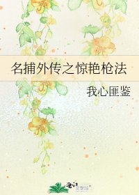 名捕外傳之驚豔槍法
