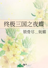 終極三國之夜蝶
