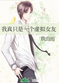 《我真只是一个虚拟女友》