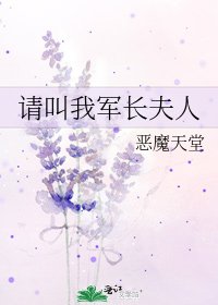 请叫我军长夫人