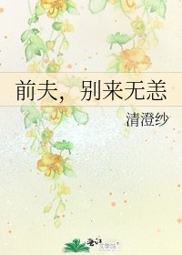 前夫,别来无恙