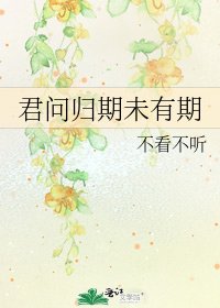 君問歸期未有期