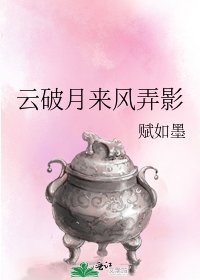 云破月来风弄影