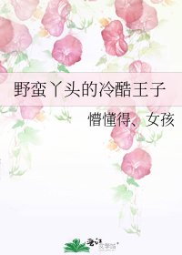 野蛮丫头的冷酷王子