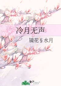 冷月无声