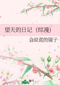 望天的日記(綜漫)