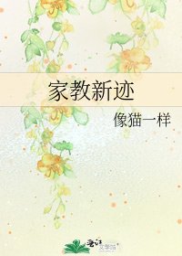 家教新跡