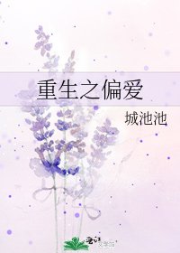 重生之偏愛