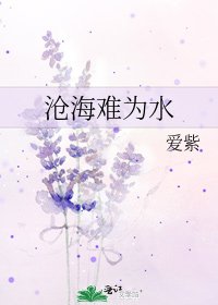 沧海难为水