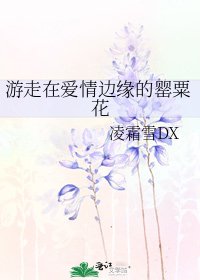 遊走在愛情邊緣的罌粟花
