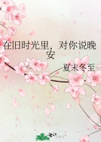 《在旧时光里,对你说晚安》