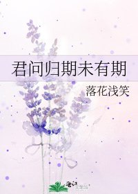 君問歸期未有期