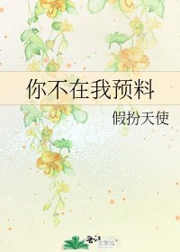 你不在我预料