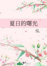 夏日的曙光