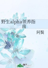 冶生alpha领养指南